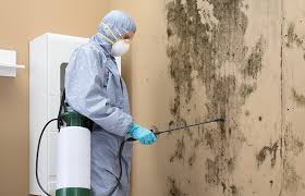 Best Comprehensive Air Testing for Mold Contaminants  in West Simsbury, CT